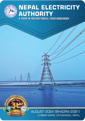 Quantitative restriction of import of new Annual report of power generation. Subdomain