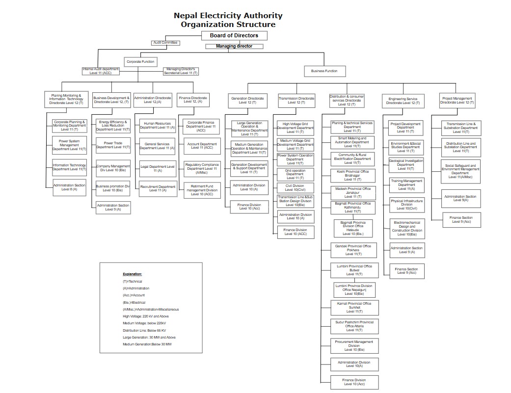 Organization Structure